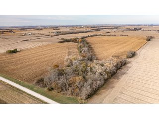Property photo 5 - FARMLAND AUCTION - 332.9+/- ACRES OFFERED IN 5 TRACTS IN CASS COUNTY, NEBRASKA