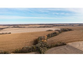 Property photo 15 - FARMLAND AUCTION - 332.9+/- ACRES OFFERED IN 5 TRACTS IN CASS COUNTY, NEBRASKA