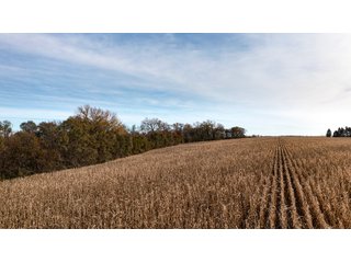 Property photo 16 - FARMLAND AUCTION - 332.9+/- ACRES OFFERED IN 5 TRACTS IN CASS COUNTY, NEBRASKA