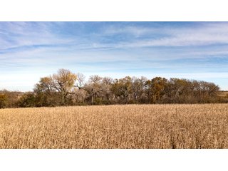 Property photo 19 - FARMLAND AUCTION - 332.9+/- ACRES OFFERED IN 5 TRACTS IN CASS COUNTY, NEBRASKA