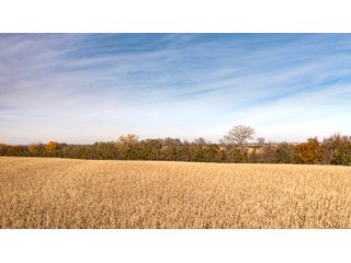 Property photo 20 - FARMLAND AUCTION - 332.9+/- ACRES OFFERED IN 5 TRACTS IN CASS COUNTY, NEBRASKA