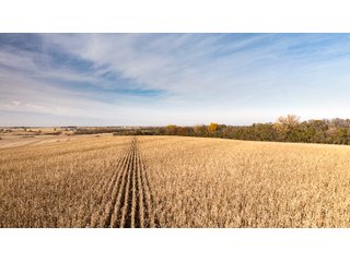 Property photo 21 - FARMLAND AUCTION - 332.9+/- ACRES OFFERED IN 5 TRACTS IN CASS COUNTY, NEBRASKA