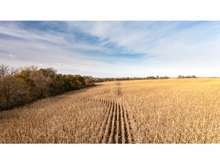 Property photo 22 - FARMLAND AUCTION - 332.9+/- ACRES OFFERED IN 5 TRACTS IN CASS COUNTY, NEBRASKA