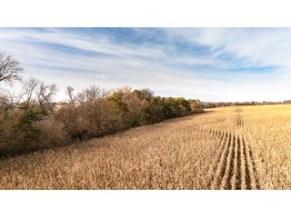 Property photo 23 - FARMLAND AUCTION - 332.9+/- ACRES OFFERED IN 5 TRACTS IN CASS COUNTY, NEBRASKA