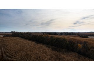 Property photo 24 - FARMLAND AUCTION - 332.9+/- ACRES OFFERED IN 5 TRACTS IN CASS COUNTY, NEBRASKA