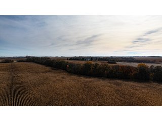 Property photo 25 - FARMLAND AUCTION - 332.9+/- ACRES OFFERED IN 5 TRACTS IN CASS COUNTY, NEBRASKA