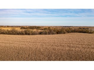 Property photo 120 - FARMLAND AUCTION - 332.9+/- ACRES OFFERED IN 5 TRACTS IN CASS COUNTY, NEBRASKA