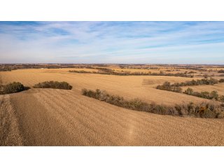 Tract 2-5 - FARMLAND AUCTION - 332.9+/- ACRES OFFERED IN 5 TRACTS IN CASS COUNTY, NEBRASKA