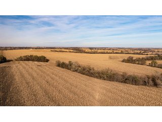 Tract 2-5 - FARMLAND AUCTION - 332.9+/- ACRES OFFERED IN 5 TRACTS IN CASS COUNTY, NEBRASKA