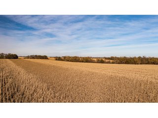 Property photo 121 - FARMLAND AUCTION - 332.9+/- ACRES OFFERED IN 5 TRACTS IN CASS COUNTY, NEBRASKA