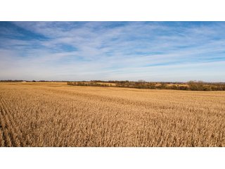 Property photo 122 - FARMLAND AUCTION - 332.9+/- ACRES OFFERED IN 5 TRACTS IN CASS COUNTY, NEBRASKA