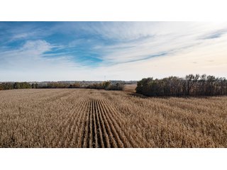 Property photo 123 - FARMLAND AUCTION - 332.9+/- ACRES OFFERED IN 5 TRACTS IN CASS COUNTY, NEBRASKA