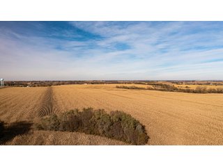 Tract 2 &3 & 4 - FARMLAND AUCTION - 332.9+/- ACRES OFFERED IN 5 TRACTS IN CASS COUNTY, NEBRASKA