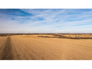 Tract 2 &3 & 4 - FARMLAND AUCTION - 332.9+/- ACRES OFFERED IN 5 TRACTS IN CASS COUNTY, NEBRASKA