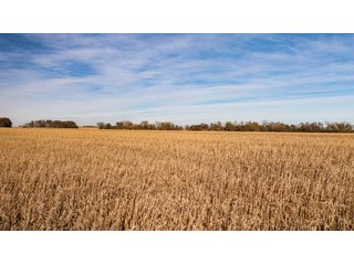 Property photo 103 - FARMLAND AUCTION - 332.9+/- ACRES OFFERED IN 5 TRACTS IN CASS COUNTY, NEBRASKA