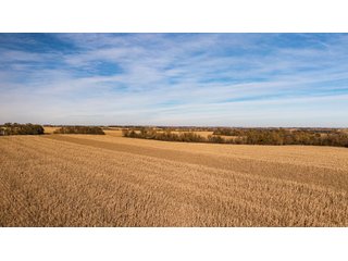 Property photo 124 - FARMLAND AUCTION - 332.9+/- ACRES OFFERED IN 5 TRACTS IN CASS COUNTY, NEBRASKA
