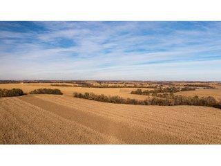 Tract 4 & 5 - FARMLAND AUCTION - 332.9+/- ACRES OFFERED IN 5 TRACTS IN CASS COUNTY, NEBRASKA