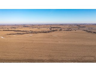 Tract 3 & 4 - FARMLAND AUCTION - 332.9+/- ACRES OFFERED IN 5 TRACTS IN CASS COUNTY, NEBRASKA