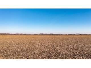 Property photo 85 - FARMLAND AUCTION - 332.9+/- ACRES OFFERED IN 5 TRACTS IN CASS COUNTY, NEBRASKA