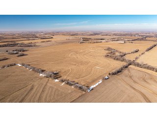 Tract 2 &3 & 4 - FARMLAND AUCTION - 332.9+/- ACRES OFFERED IN 5 TRACTS IN CASS COUNTY, NEBRASKA