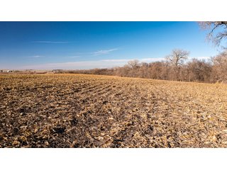 Property photo 29 - FARMLAND AUCTION - 332.9+/- ACRES OFFERED IN 5 TRACTS IN CASS COUNTY, NEBRASKA