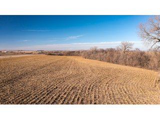 Property photo 30 - FARMLAND AUCTION - 332.9+/- ACRES OFFERED IN 5 TRACTS IN CASS COUNTY, NEBRASKA