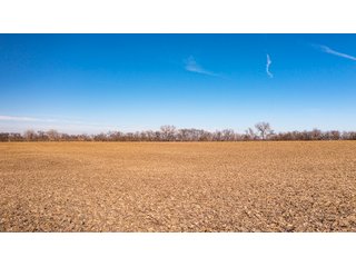 Property photo 32 - FARMLAND AUCTION - 332.9+/- ACRES OFFERED IN 5 TRACTS IN CASS COUNTY, NEBRASKA