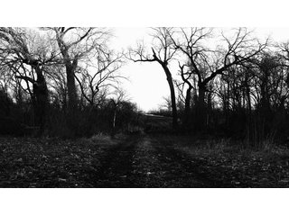 Property photo 55 - FARMLAND AUCTION - 332.9+/- ACRES OFFERED IN 5 TRACTS IN CASS COUNTY, NEBRASKA