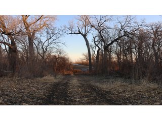 Property photo 54 - FARMLAND AUCTION - 332.9+/- ACRES OFFERED IN 5 TRACTS IN CASS COUNTY, NEBRASKA