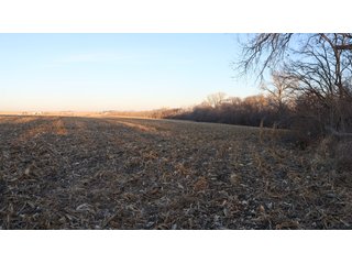 Property photo 53 - FARMLAND AUCTION - 332.9+/- ACRES OFFERED IN 5 TRACTS IN CASS COUNTY, NEBRASKA