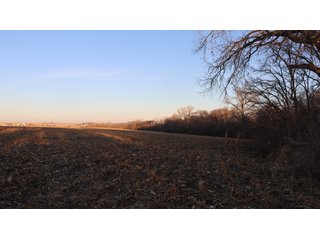 Property photo 52 - FARMLAND AUCTION - 332.9+/- ACRES OFFERED IN 5 TRACTS IN CASS COUNTY, NEBRASKA