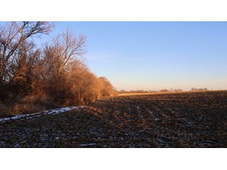 Property photo 51 - FARMLAND AUCTION - 332.9+/- ACRES OFFERED IN 5 TRACTS IN CASS COUNTY, NEBRASKA