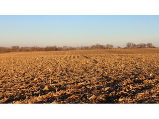 Property photo 50 - FARMLAND AUCTION - 332.9+/- ACRES OFFERED IN 5 TRACTS IN CASS COUNTY, NEBRASKA