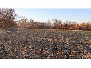 Property photo 49 - FARMLAND AUCTION - 332.9+/- ACRES OFFERED IN 5 TRACTS IN CASS COUNTY, NEBRASKA
