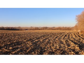 Property photo 48 - FARMLAND AUCTION - 332.9+/- ACRES OFFERED IN 5 TRACTS IN CASS COUNTY, NEBRASKA