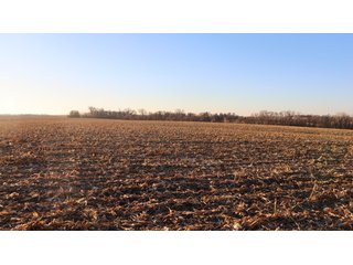 Property photo 47 - FARMLAND AUCTION - 332.9+/- ACRES OFFERED IN 5 TRACTS IN CASS COUNTY, NEBRASKA