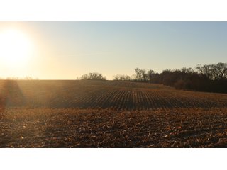Property photo 46 - FARMLAND AUCTION - 332.9+/- ACRES OFFERED IN 5 TRACTS IN CASS COUNTY, NEBRASKA