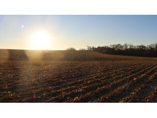 Property photo 45 - FARMLAND AUCTION - 332.9+/- ACRES OFFERED IN 5 TRACTS IN CASS COUNTY, NEBRASKA