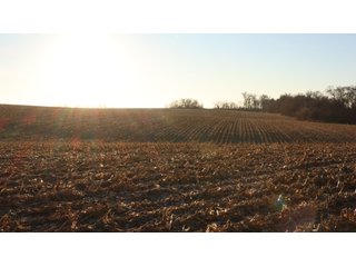 Property photo 44 - FARMLAND AUCTION - 332.9+/- ACRES OFFERED IN 5 TRACTS IN CASS COUNTY, NEBRASKA