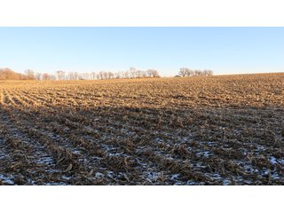 Property photo 43 - FARMLAND AUCTION - 332.9+/- ACRES OFFERED IN 5 TRACTS IN CASS COUNTY, NEBRASKA