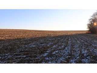 Property photo 42 - FARMLAND AUCTION - 332.9+/- ACRES OFFERED IN 5 TRACTS IN CASS COUNTY, NEBRASKA