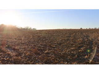 Property photo 41 - FARMLAND AUCTION - 332.9+/- ACRES OFFERED IN 5 TRACTS IN CASS COUNTY, NEBRASKA
