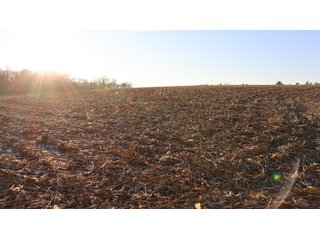 Property photo 40 - FARMLAND AUCTION - 332.9+/- ACRES OFFERED IN 5 TRACTS IN CASS COUNTY, NEBRASKA