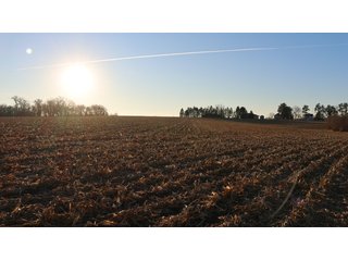 Property photo 39 - FARMLAND AUCTION - 332.9+/- ACRES OFFERED IN 5 TRACTS IN CASS COUNTY, NEBRASKA
