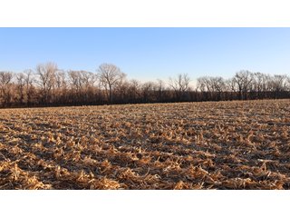 Property photo 38 - FARMLAND AUCTION - 332.9+/- ACRES OFFERED IN 5 TRACTS IN CASS COUNTY, NEBRASKA