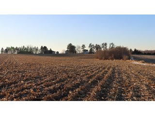 Property photo 37 - FARMLAND AUCTION - 332.9+/- ACRES OFFERED IN 5 TRACTS IN CASS COUNTY, NEBRASKA