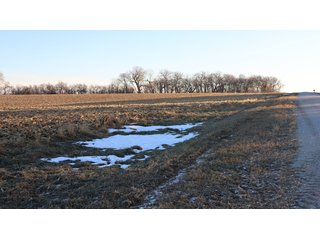 Property photo 36 - FARMLAND AUCTION - 332.9+/- ACRES OFFERED IN 5 TRACTS IN CASS COUNTY, NEBRASKA