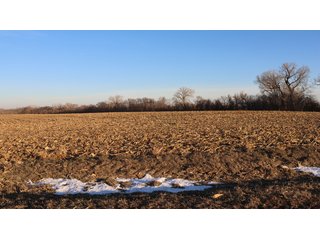Property photo 34 - FARMLAND AUCTION - 332.9+/- ACRES OFFERED IN 5 TRACTS IN CASS COUNTY, NEBRASKA