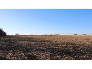 Property photo 74 - FARMLAND AUCTION - 332.9+/- ACRES OFFERED IN 5 TRACTS IN CASS COUNTY, NEBRASKA