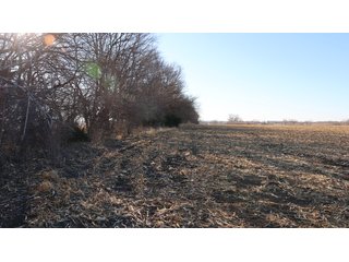 Property photo 75 - FARMLAND AUCTION - 332.9+/- ACRES OFFERED IN 5 TRACTS IN CASS COUNTY, NEBRASKA
